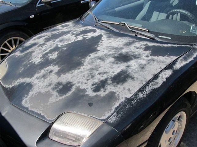 How Long Does It Take for Sun to Damage Car Paint? (And What to Do About It)